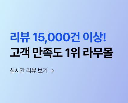 라무몰로 보는 인도 직구 사이트 이용 시 주의해야 할 사항