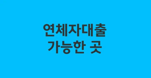 연체자대출 대출금 이용시 유의사항